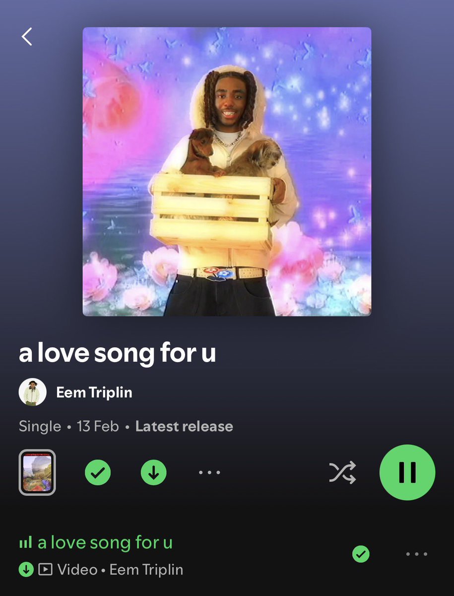 cashyams tweet media