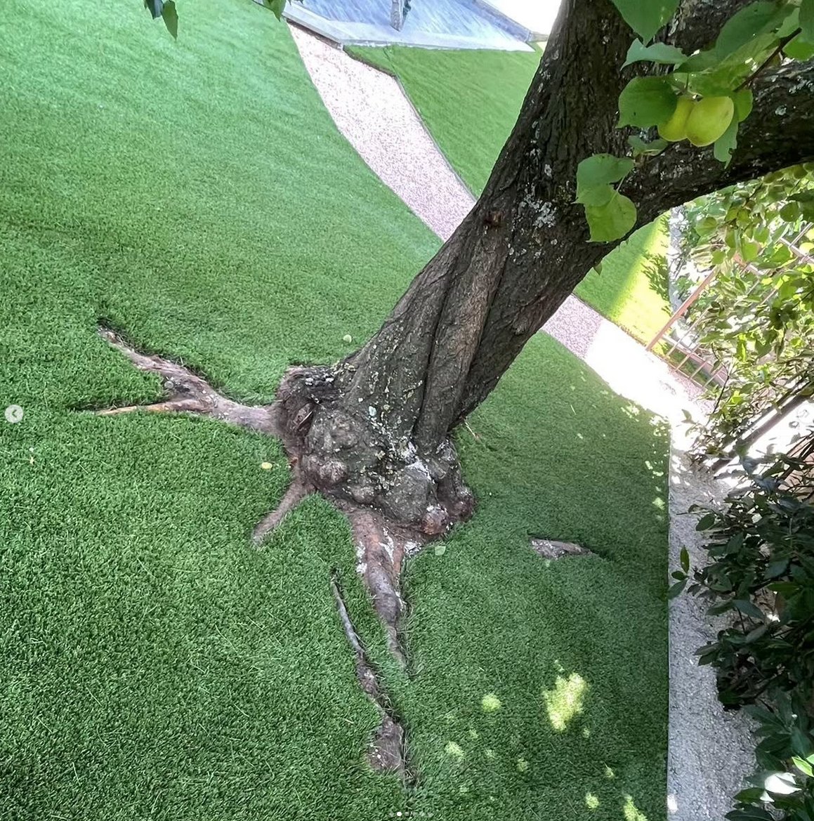 👋 Opción eficiente.  ✅

 ▶️ 🌱 Al no requerir riego constante, el césped artificial contribuye al uso responsable del agua.  💦 Una alternativa fantástica en zonas con climas secos o restricciones hídricas.  👍

#eurocesped #cespedartificial