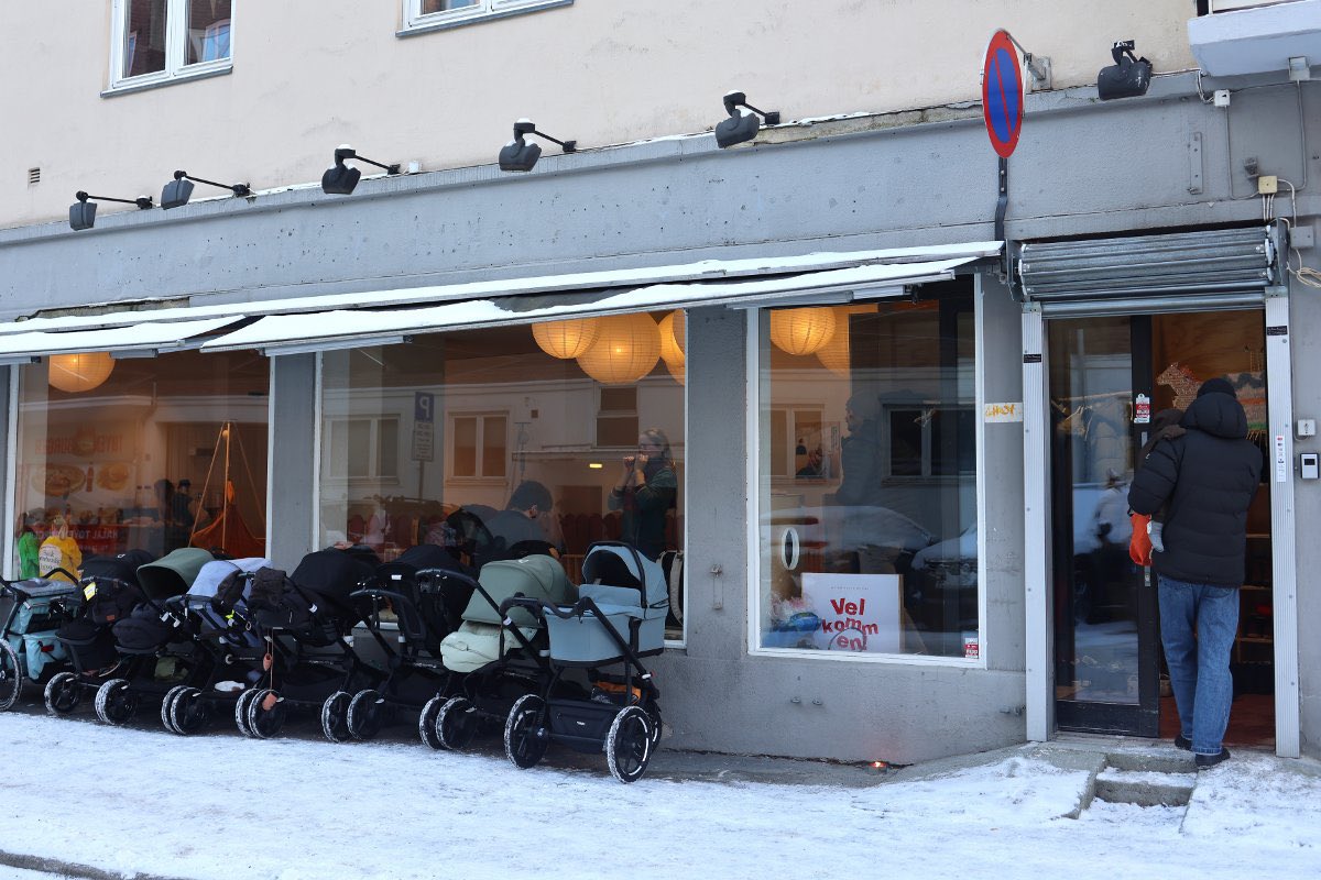 #NAFOViking tweet media