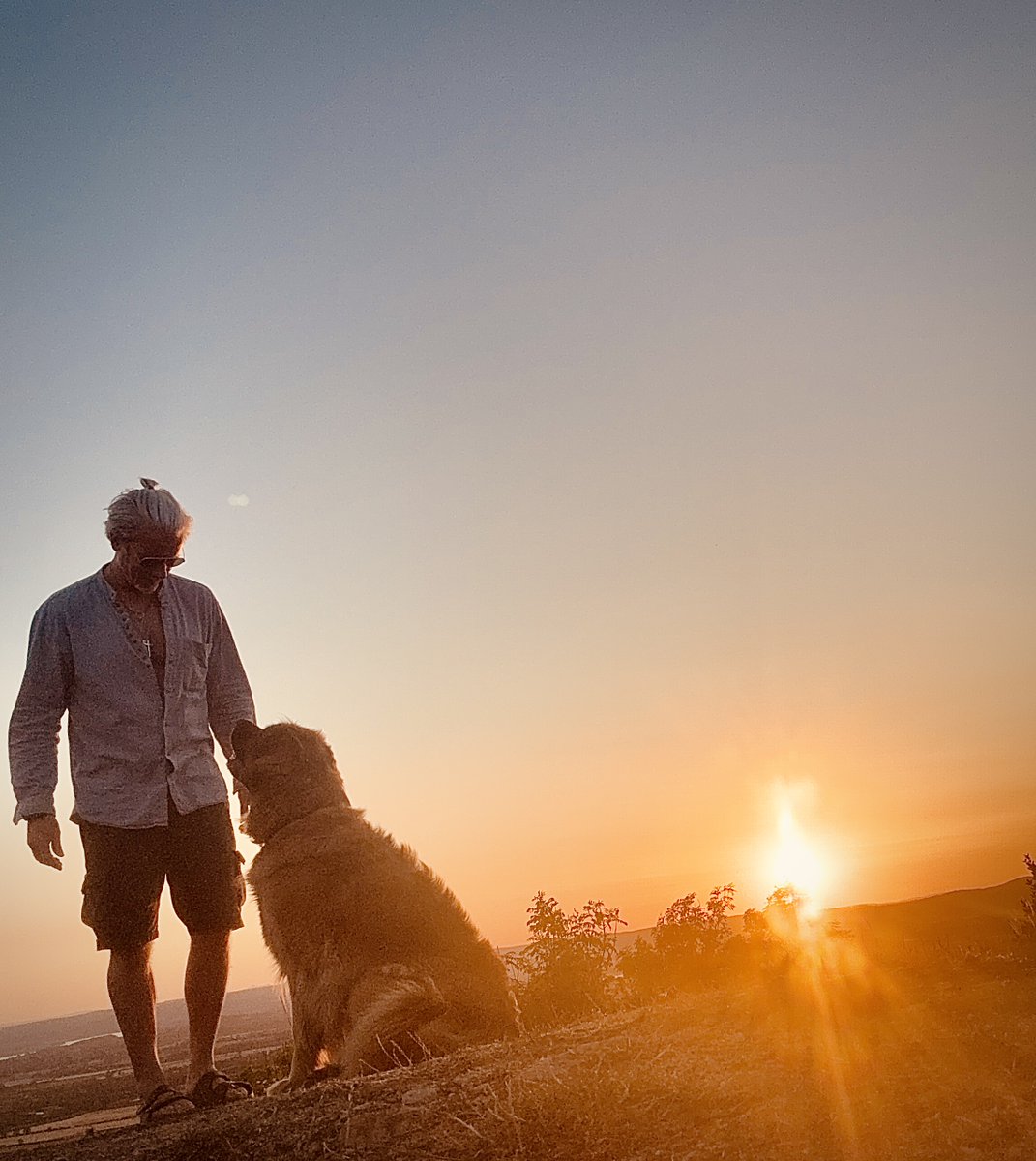 kevin maher tweet media