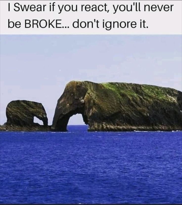 Law_of_attraction tweet media