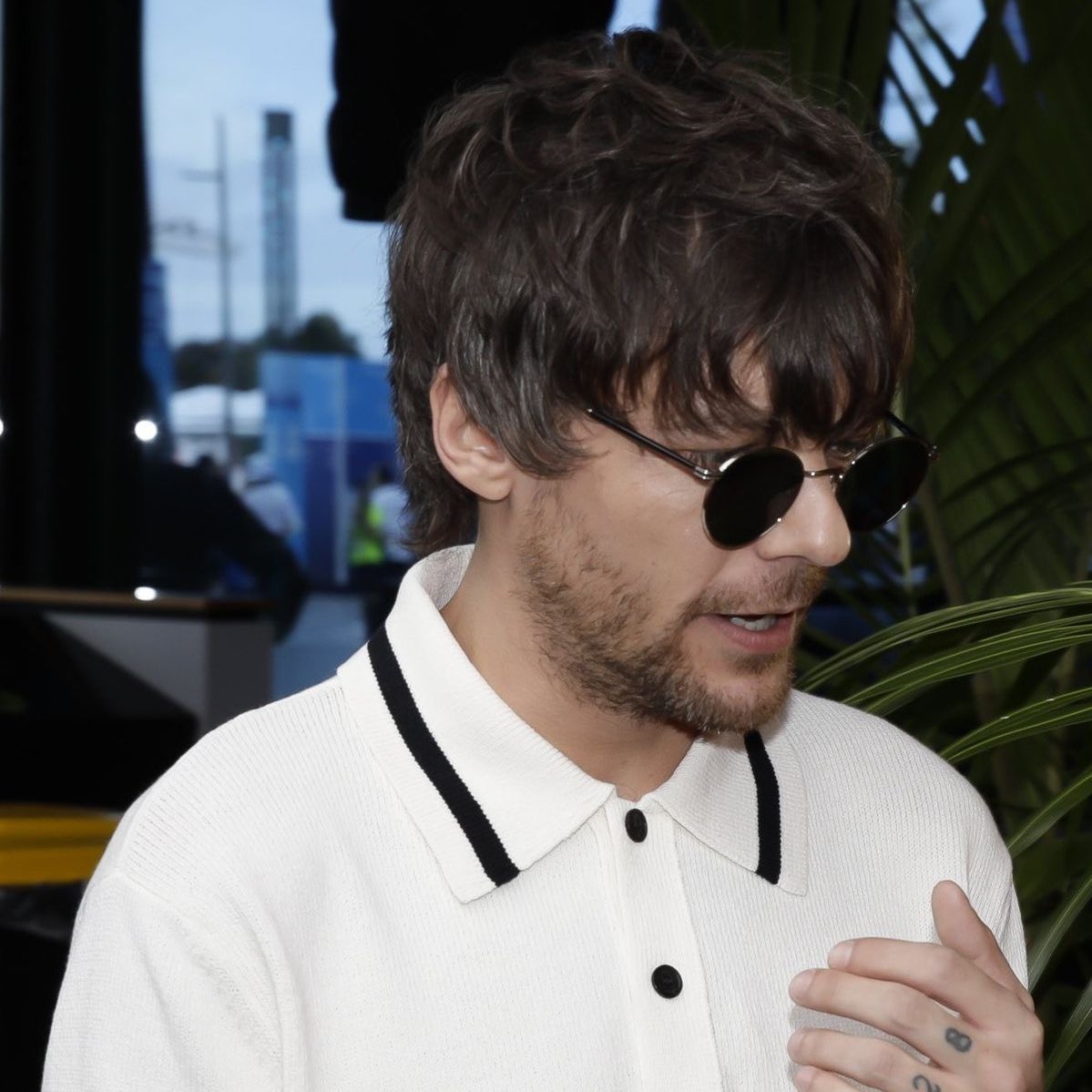 beard louis bot 🎞️ tweet media
