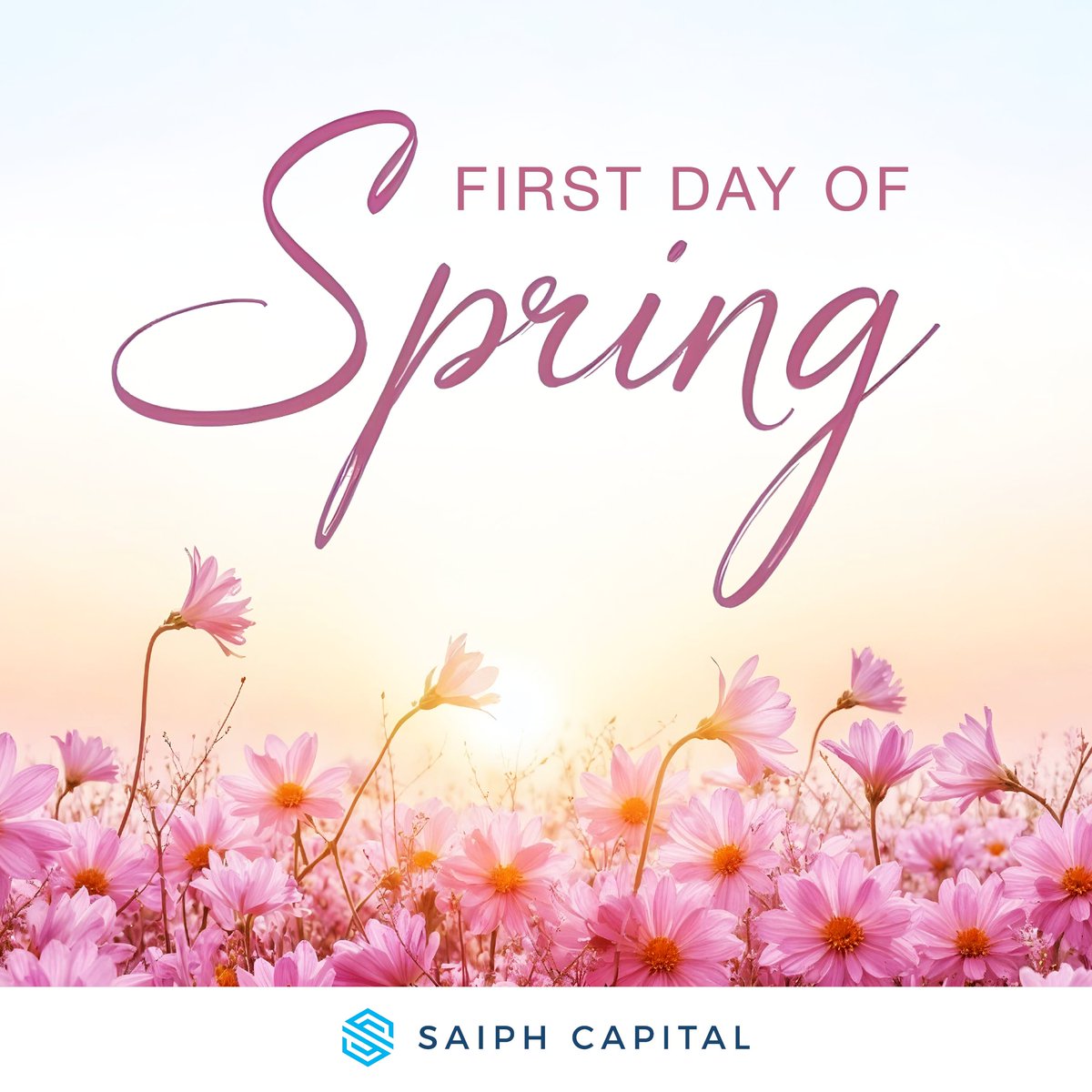 Saiph Capital tweet media