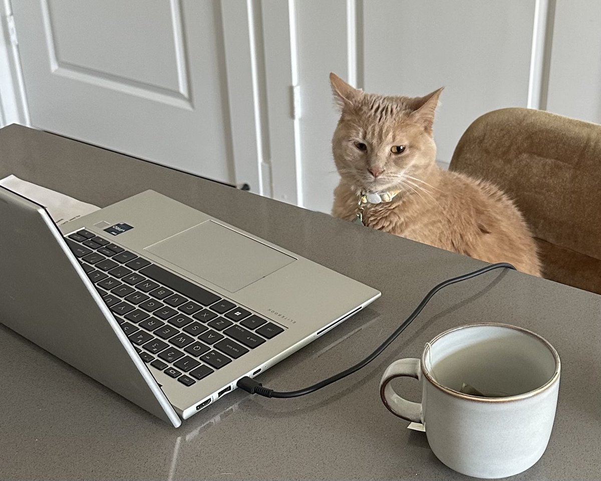 sayntsofia's tweet photo. as purr my last email https://t.co/TVBBDNNmm4