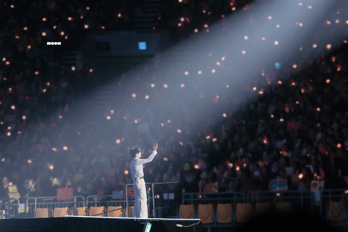 meow🐈‍⬛ tweet media