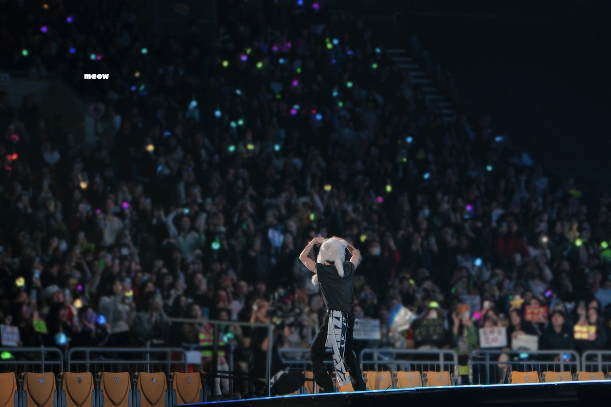 meow🐈‍⬛ tweet media