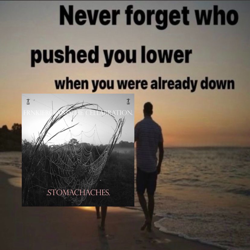 ɐlnɐd 击 tweet media