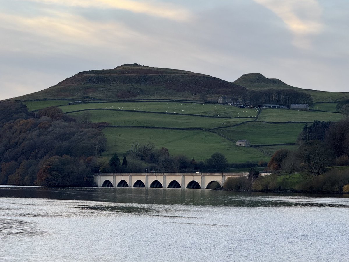 Jocaccia tweet media