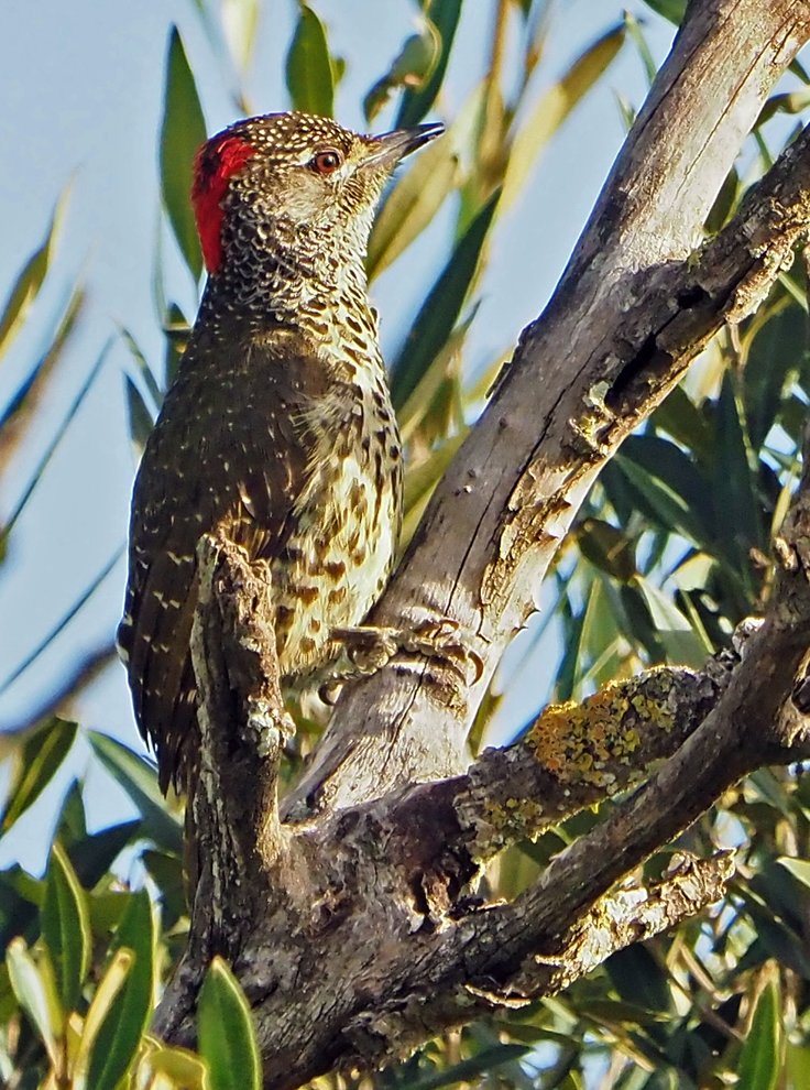 Brian E.Carruthers tweet media