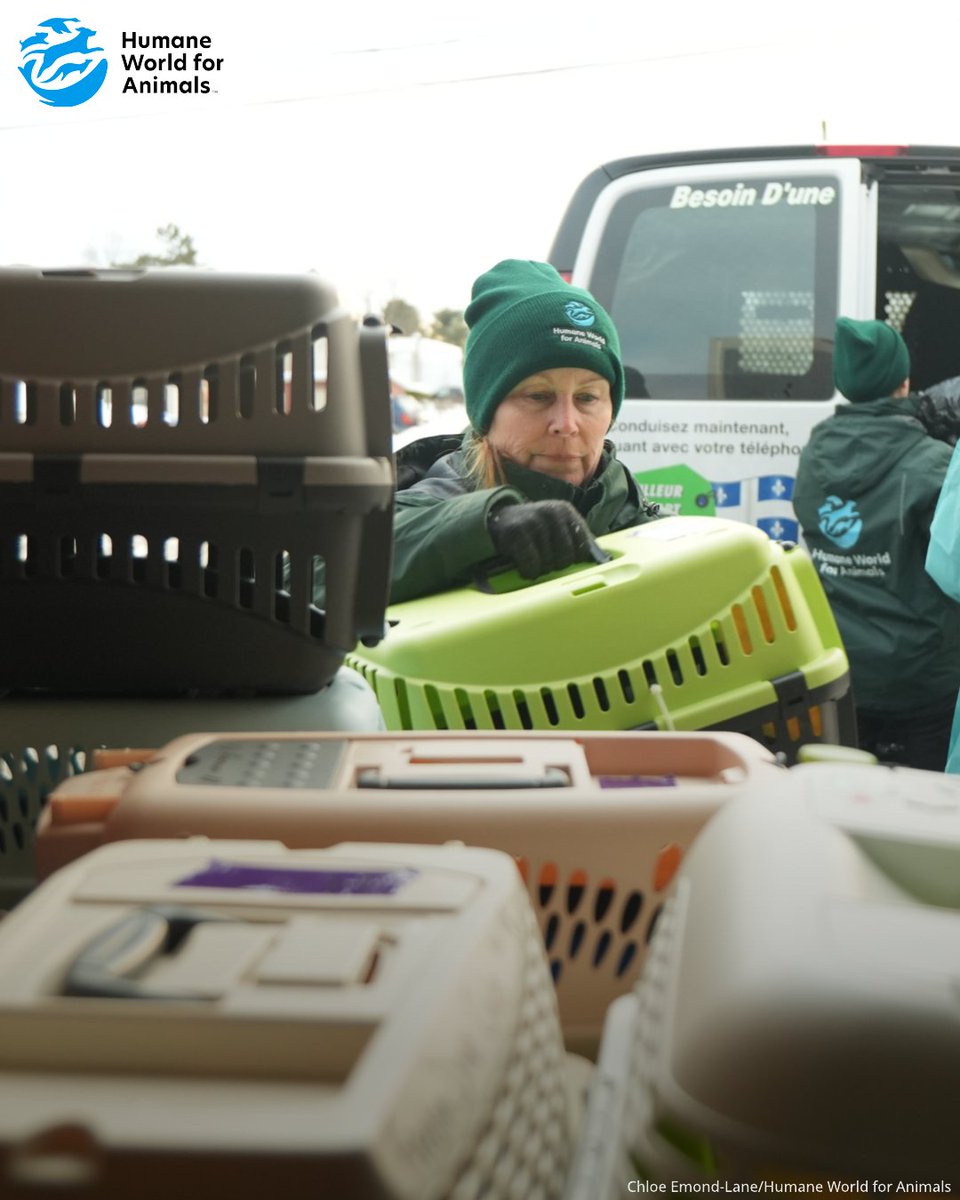 Humane World for Animals Canada tweet media