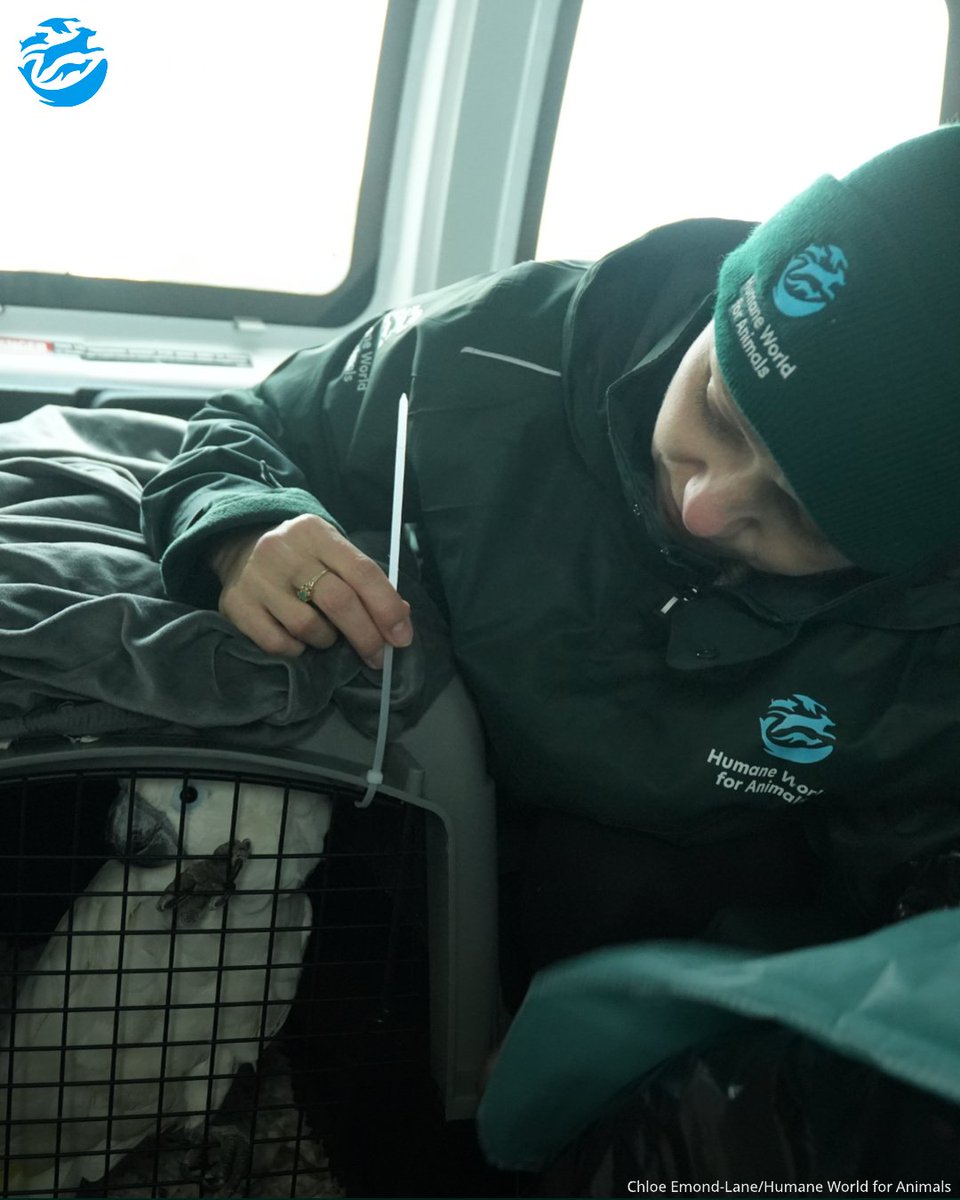 Humane World for Animals Canada tweet media