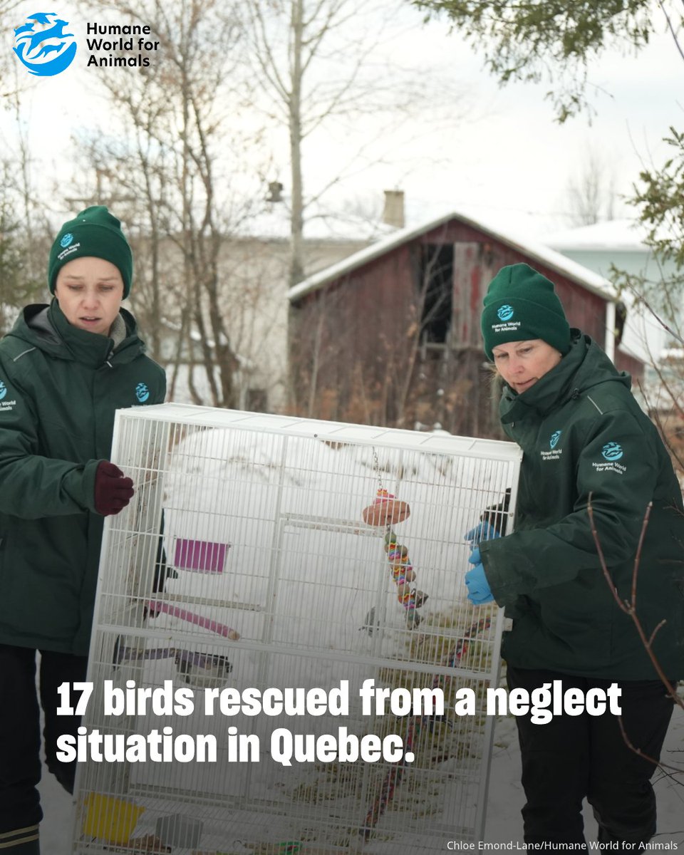 Humane World for Animals Canada tweet media