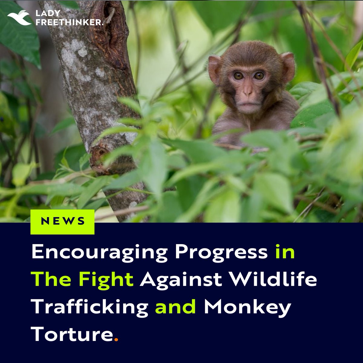 Lady Freethinker tweet media