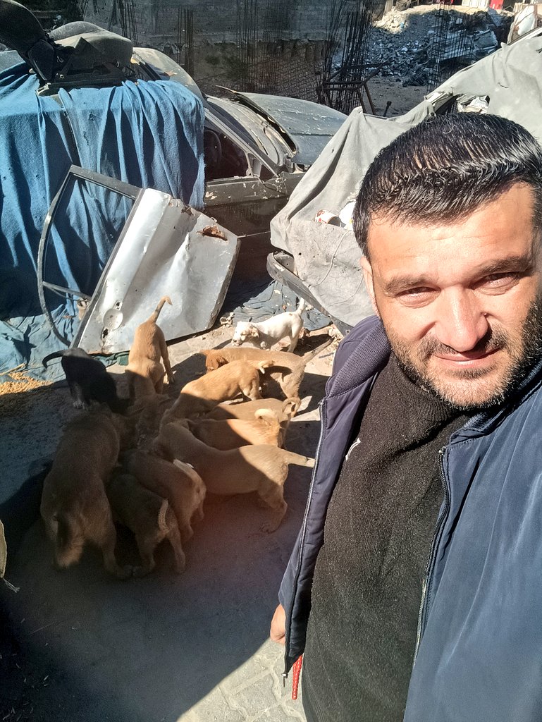 🐾Animal lover Gaza🇵🇸 tweet media