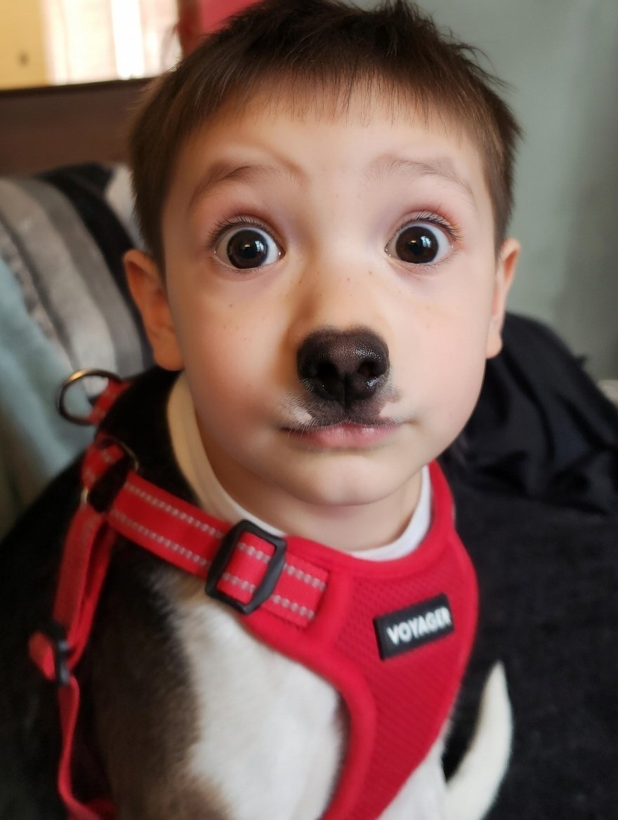 JMBudnack's tweet photo. AI turning my beloved  5-year-old dog Moochie into a 5-year-old boy...Mickey. Comments?  Criticisms? https://t.co/sJp0WeYep7