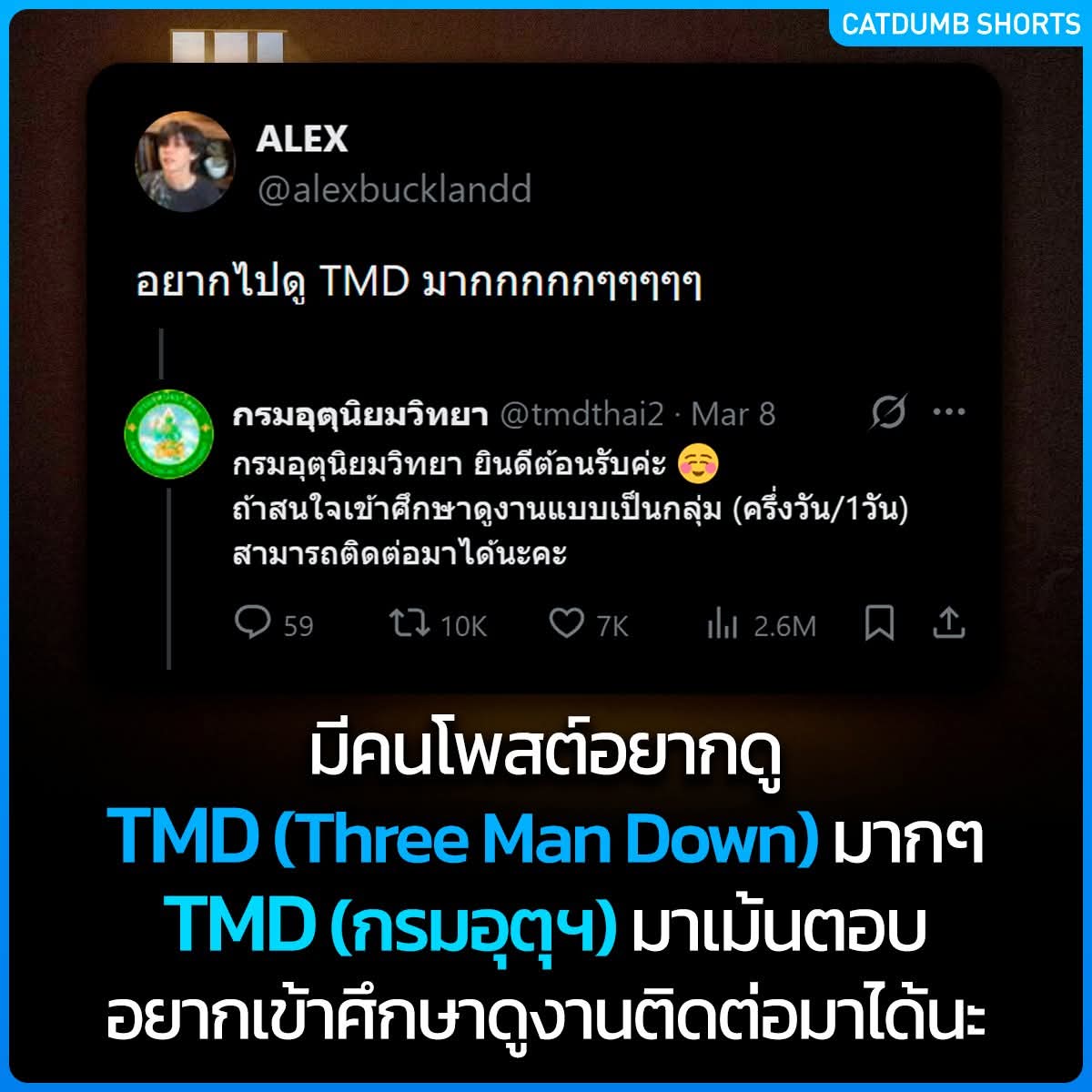 พื้นที่สื่อโคตรคุ้มค่า ถึงเวลาไดซ์แมสแล้ว