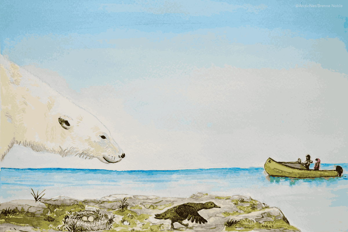 ArcticNet tweet media