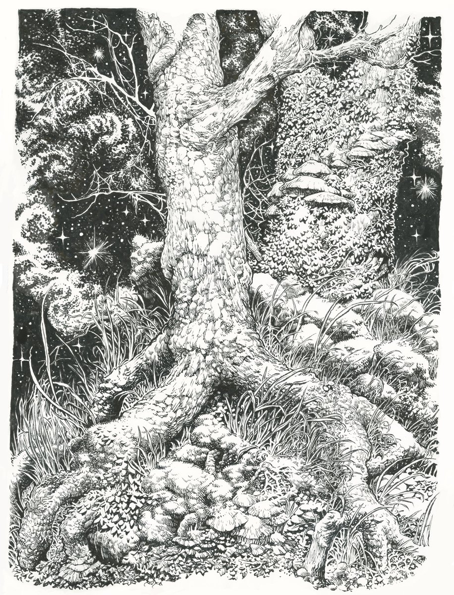 Conor Nolan tweet media