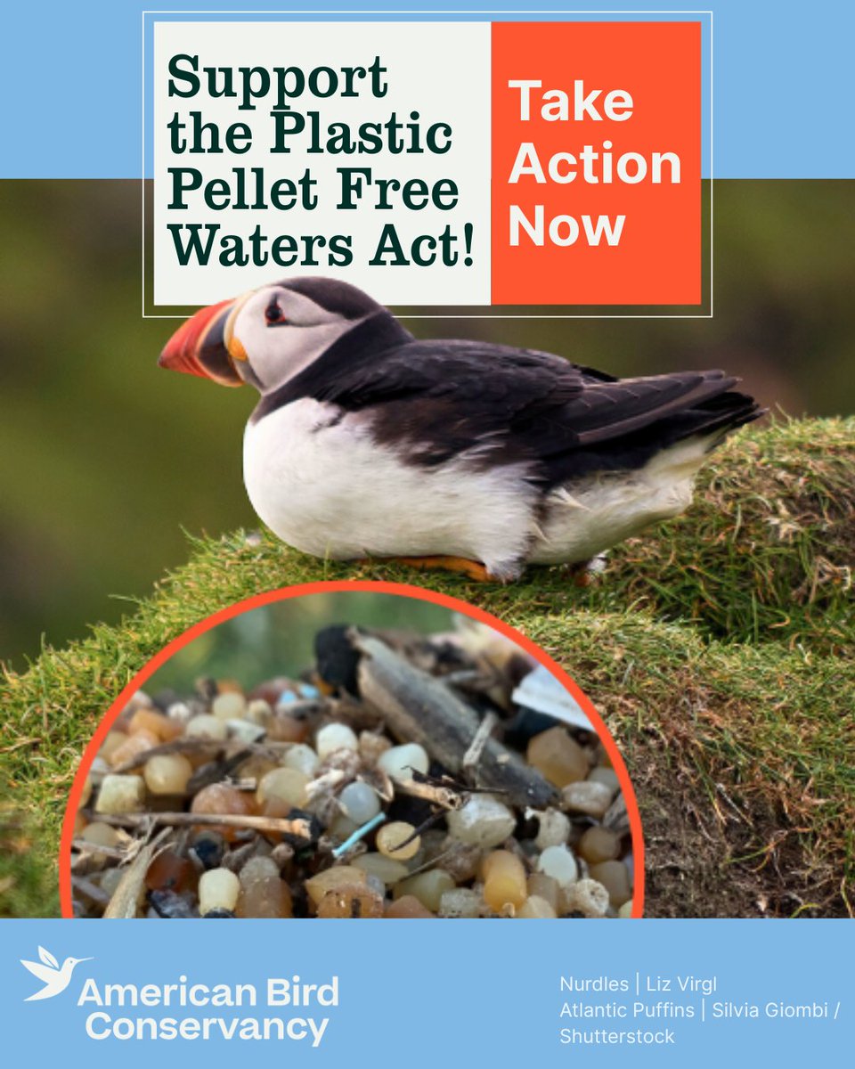 American Bird Conservancy tweet media