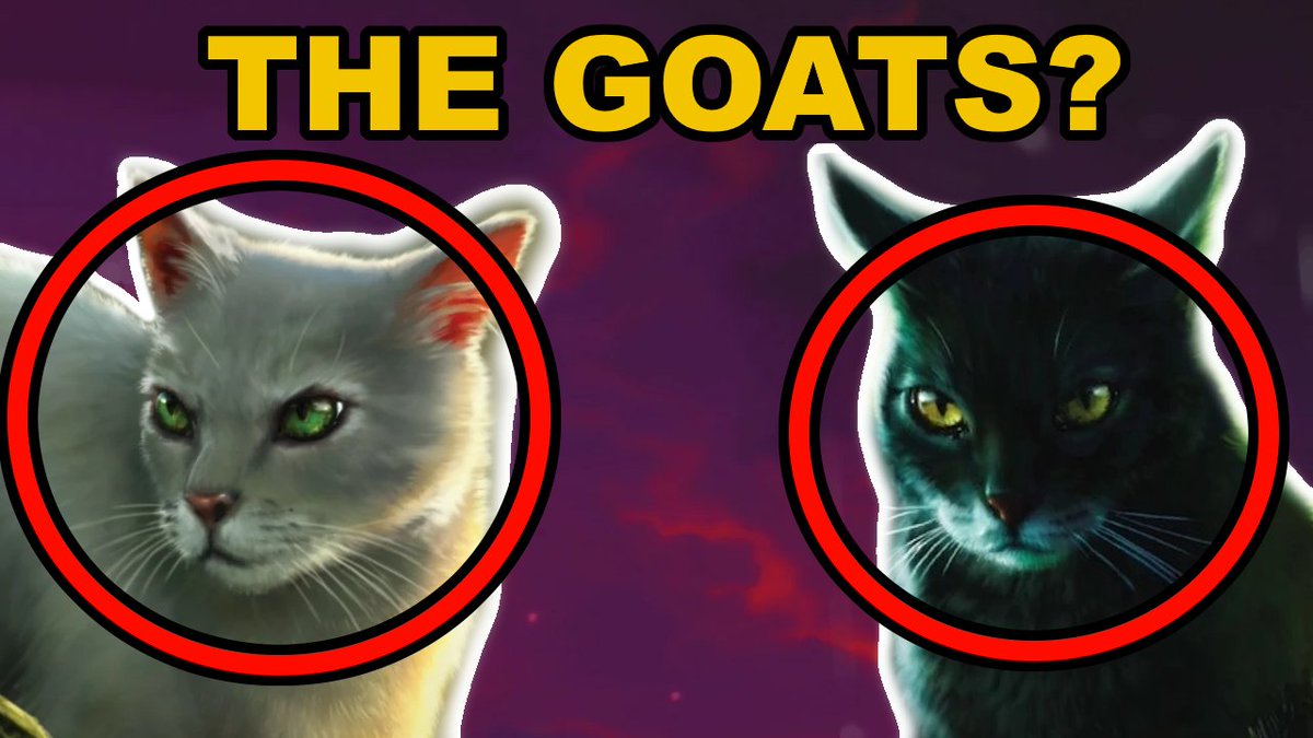 simons 🐈 tweet media