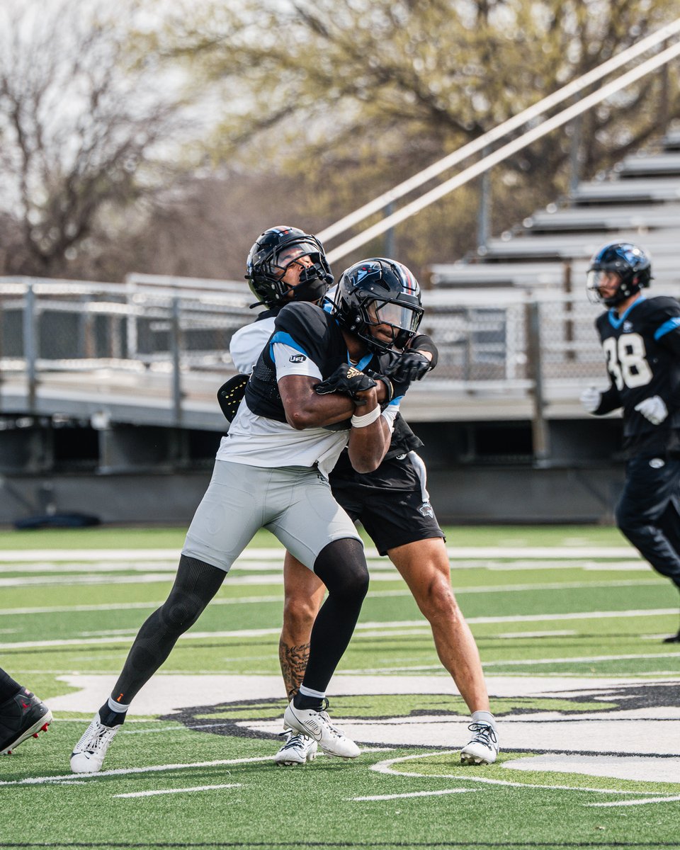 Dallas Renegades tweet media