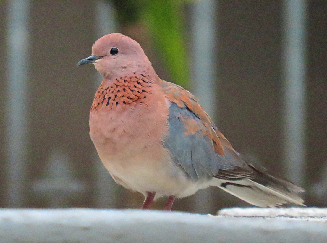 Brian E.Carruthers tweet media