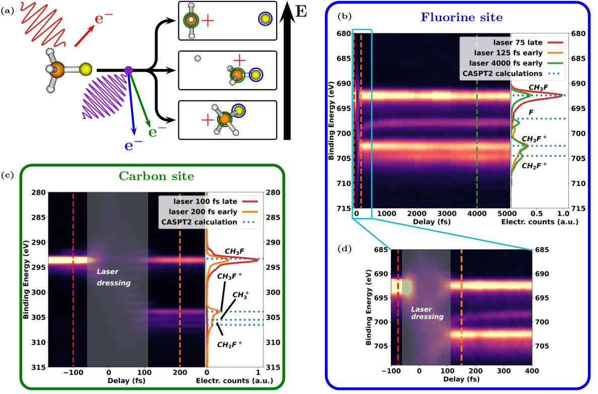 Physical Review X tweet media