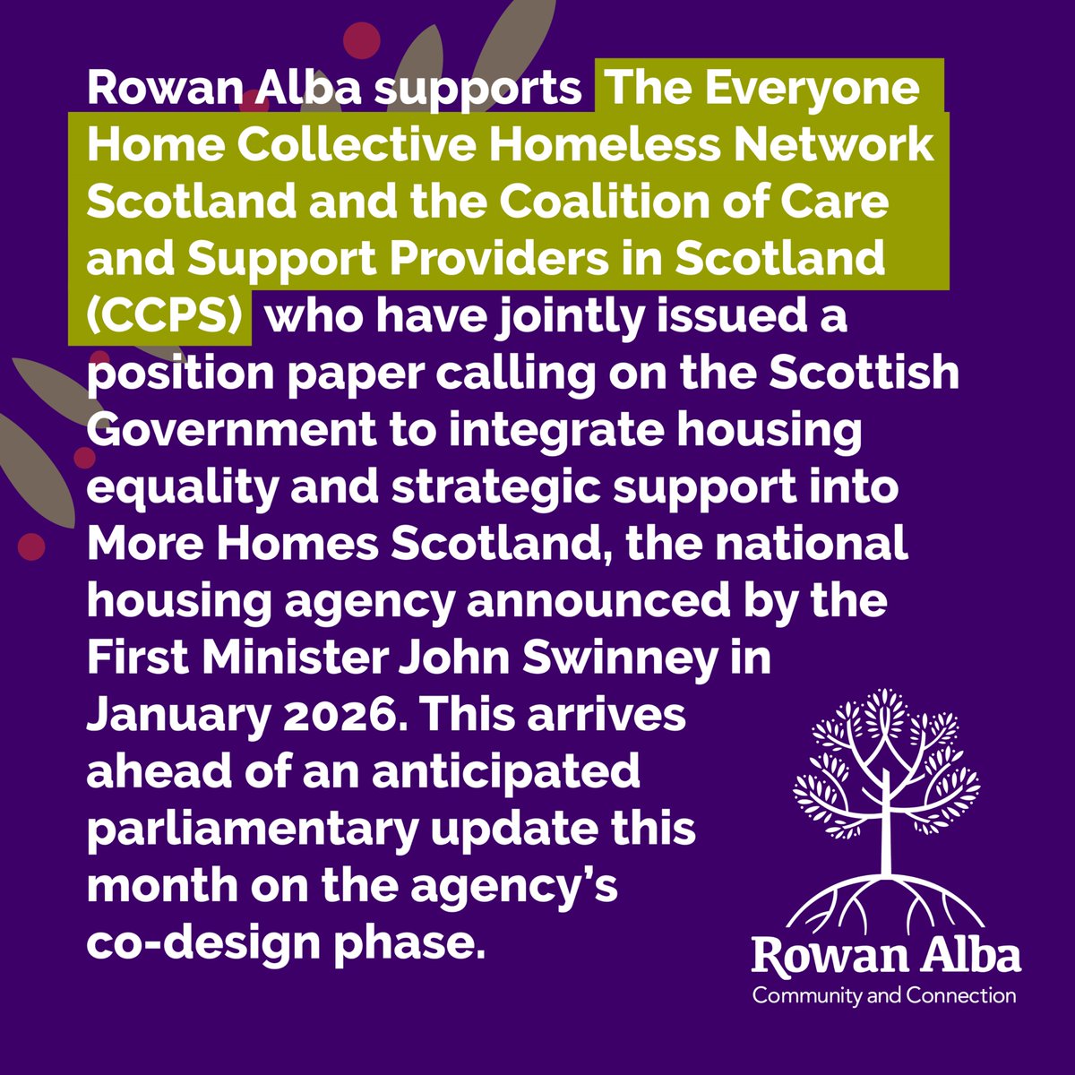 Rowan Alba tweet media