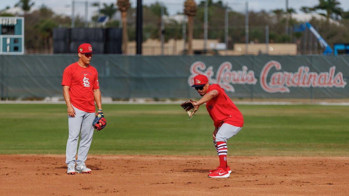 St. Louis Cardinals tweet media