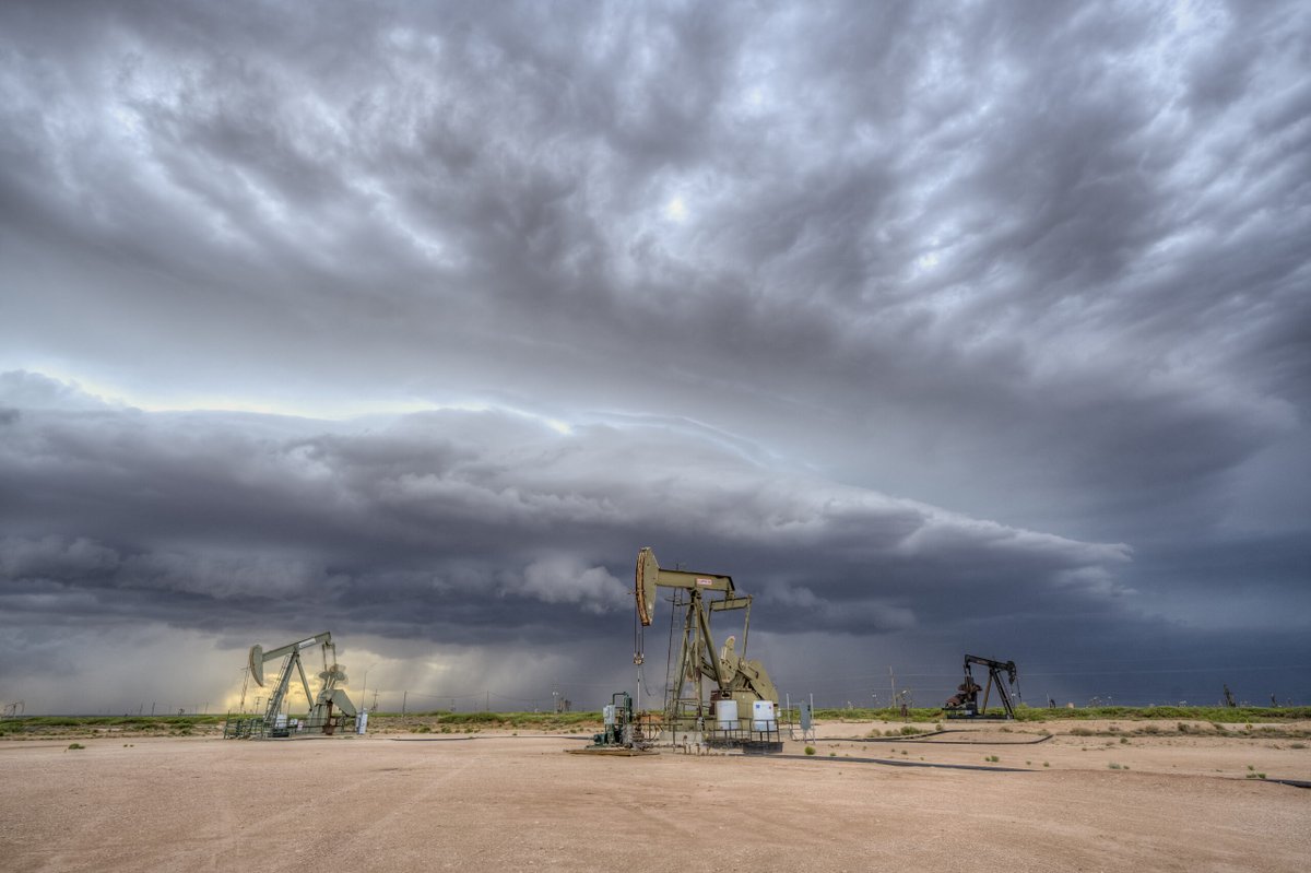 steve marble tweet media