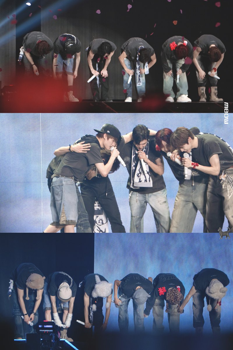 meow🐈‍⬛ tweet media