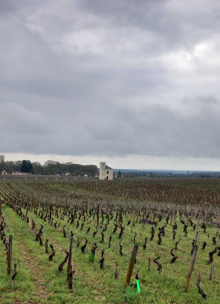 BellelliGug's tweet photo. E in mezzo al Clos, a poche decine di metri dallo Château di Vougeot il minuscolo Château de la Folie... https://t.co/SzLgAy4ZsD