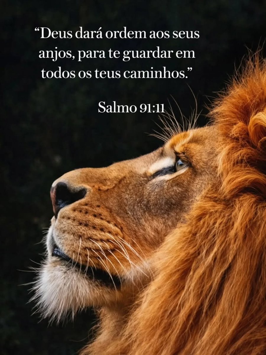 ● Iza ● ﮩ٨ـﮩﮩ٨ـ♡ﮩ٨ـﮩﮩ٨ـ tweet media