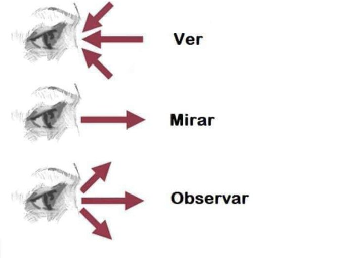LunaGitana0333's tweet photo. Ver, Mirar y Observar:     
 No es lo mismo Ver, Mirar y Observar.     

Para ver necesitas tus ojos, para mirar ser consciente de lo que buscas y para observar debes estar alerta con todos los sentidos      

VER ... es darnos cuenta de lo que nos rodea, percibir por los ojos nuestro entorno, mediante la acción de la luz sobre los objetos.      

MIRAR ... es dirigir la vista hacia un objeto, enfocar algo en particular, contemplarlo.      

OBSERVAR ... es examinar atentamente algo o alguien, es prestar cuidadosa atención al que vemos, a lo que miramos.     

Es formarnos un juicio, sobre aquello a lo que dirigimos la vista, sustentado en lo que miramos y en nuestras experiencias previas.    
 Para Observar Tenemos Que Ver y Mirar Al Mismo Tiempo.