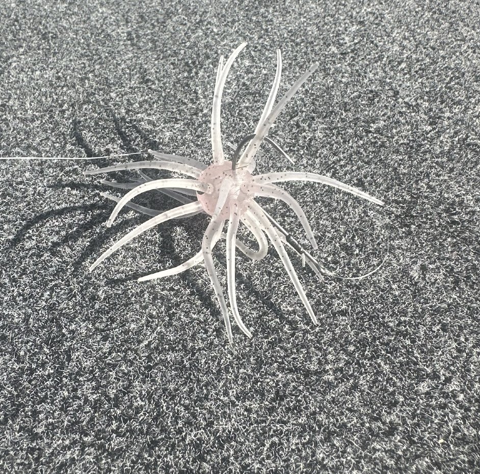 JayKumarBass tweet media