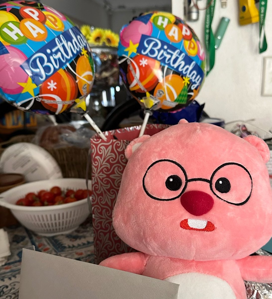 ricegenre's tweet photo. forgot abt this but past two birthdays ive gotten a loopy so s/o to my sister for inducing me in #loopnation https://t.co/oPI52JeOCS