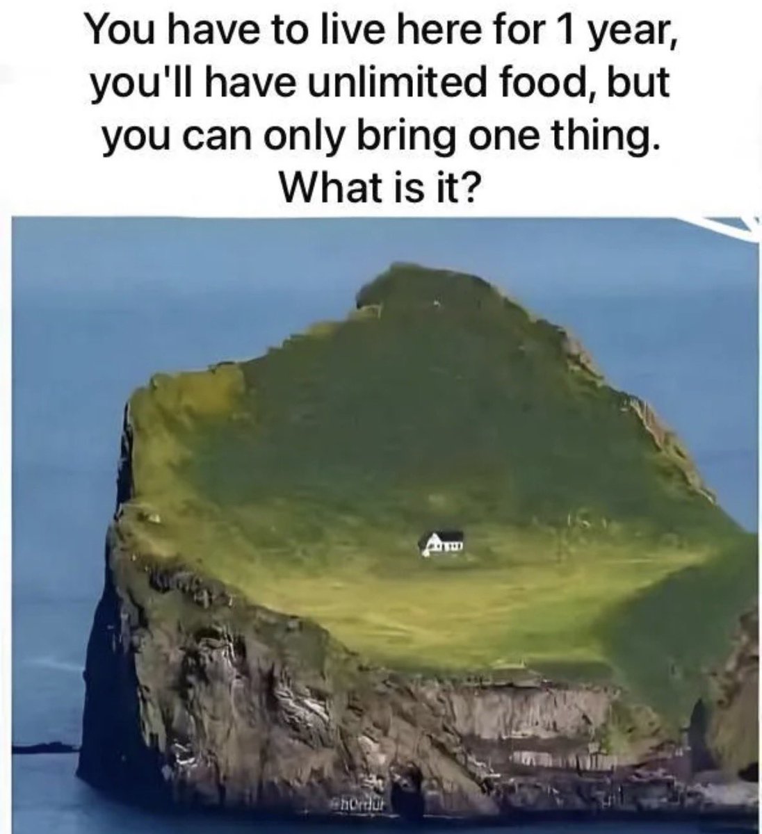 Steve 🇺🇸 tweet media