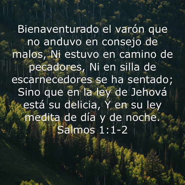 Doctor Frío tweet media