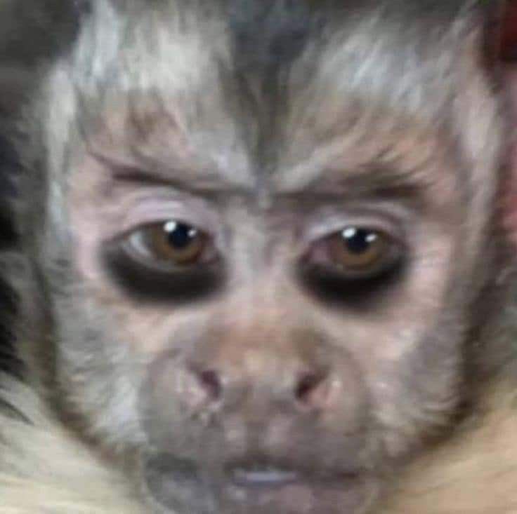 IngridCobos4's tweet photo. Mi cara cuando me dice que va a cambiar pero yo ya llevo toda la vida esperando a que mi papá cambie https://t.co/y5Jm0lRCXy