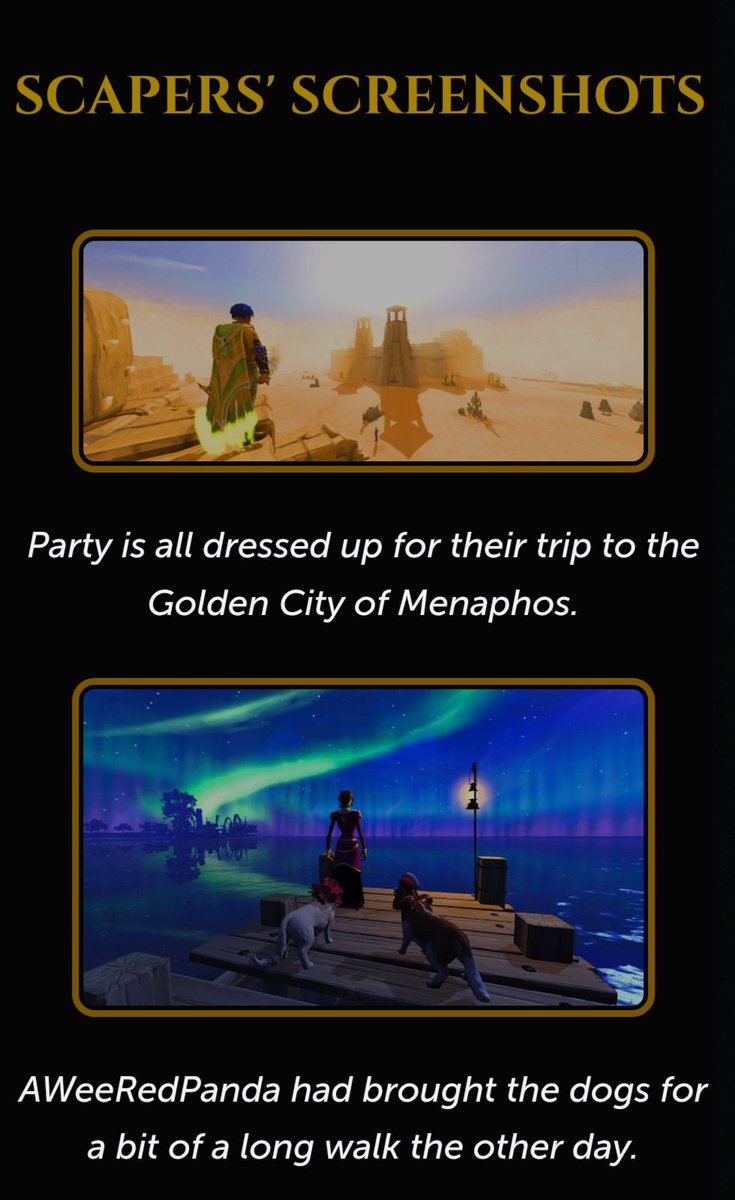 ScreenieScape tweet media