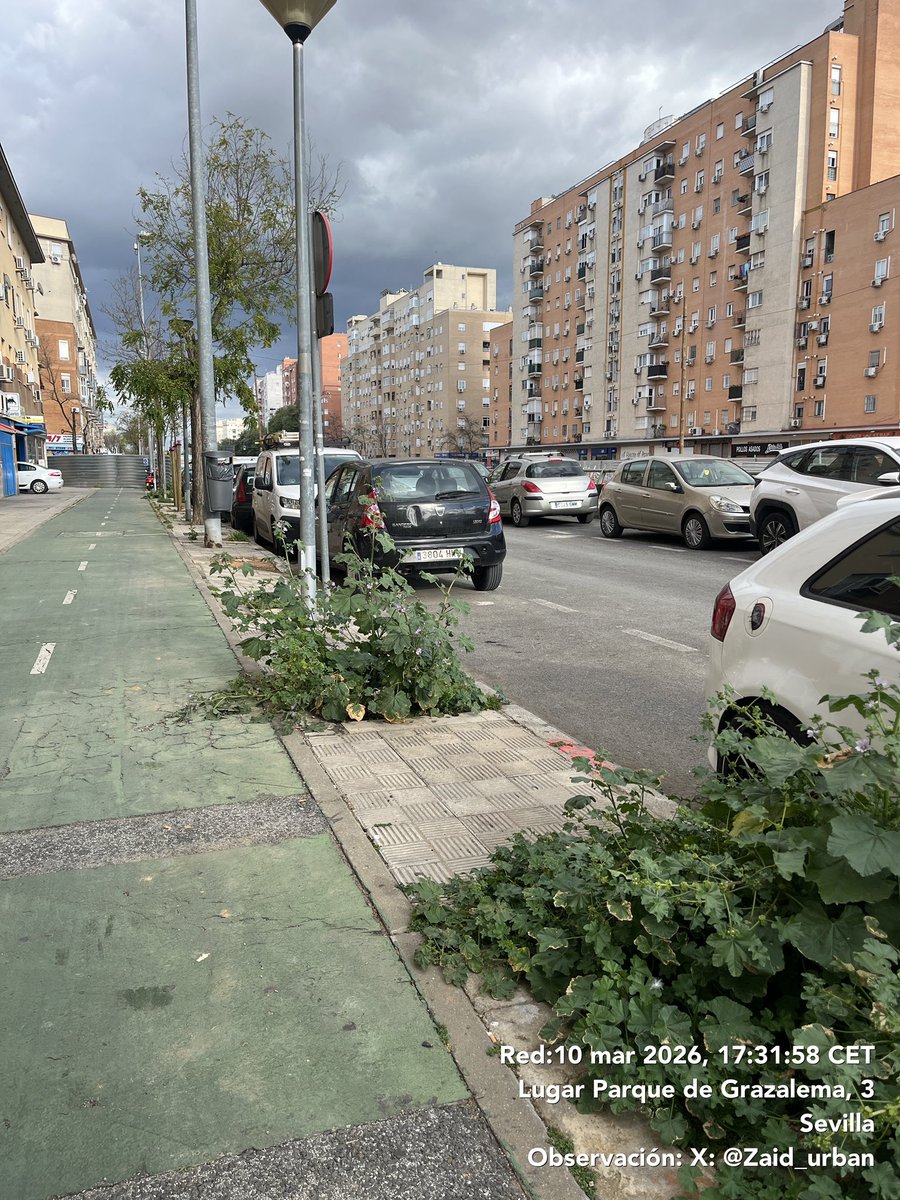 Alejandro Diaz tweet media