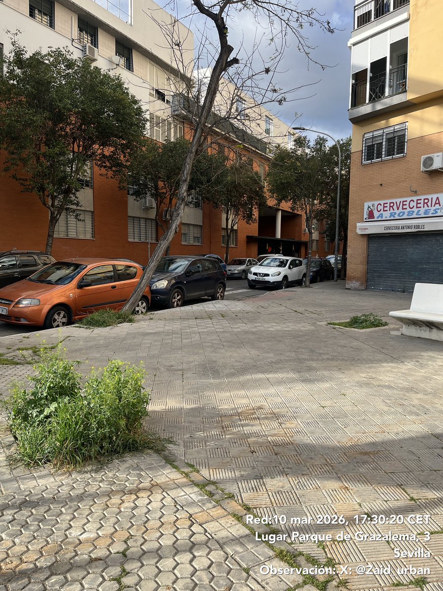 Alejandro Diaz tweet media