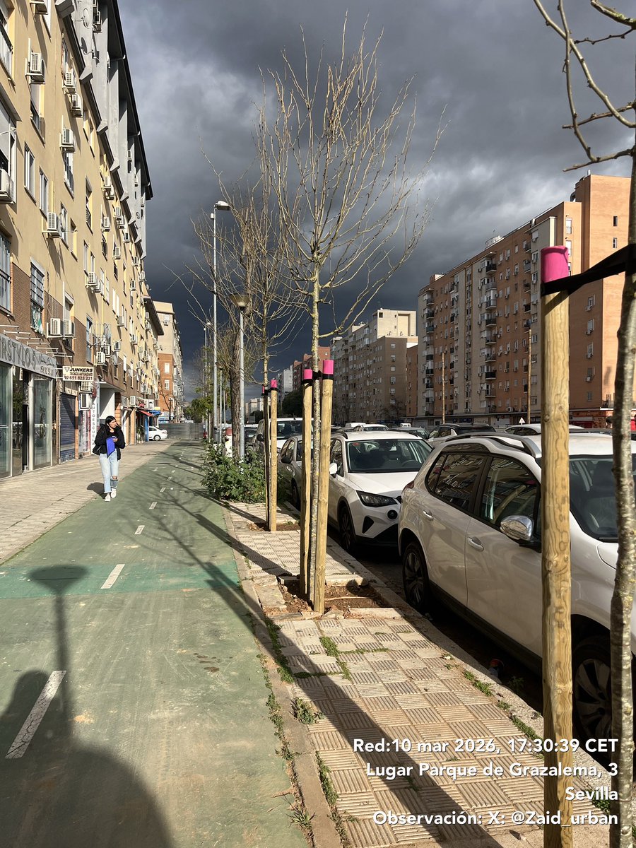 Alejandro Diaz tweet media