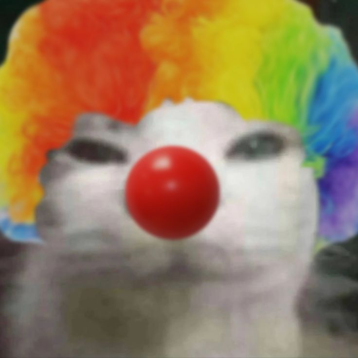 avgreplyguy tweet media