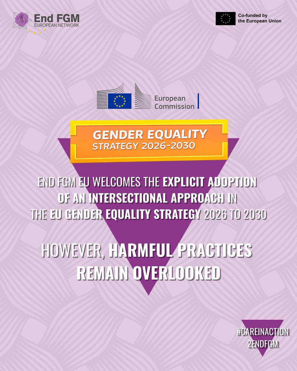 End FGM European Network tweet media