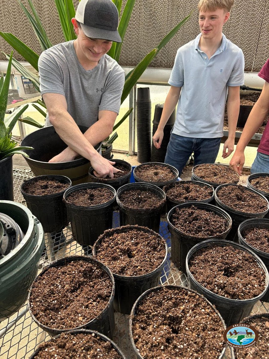 Arkansas Game and Fish Commission tweet media