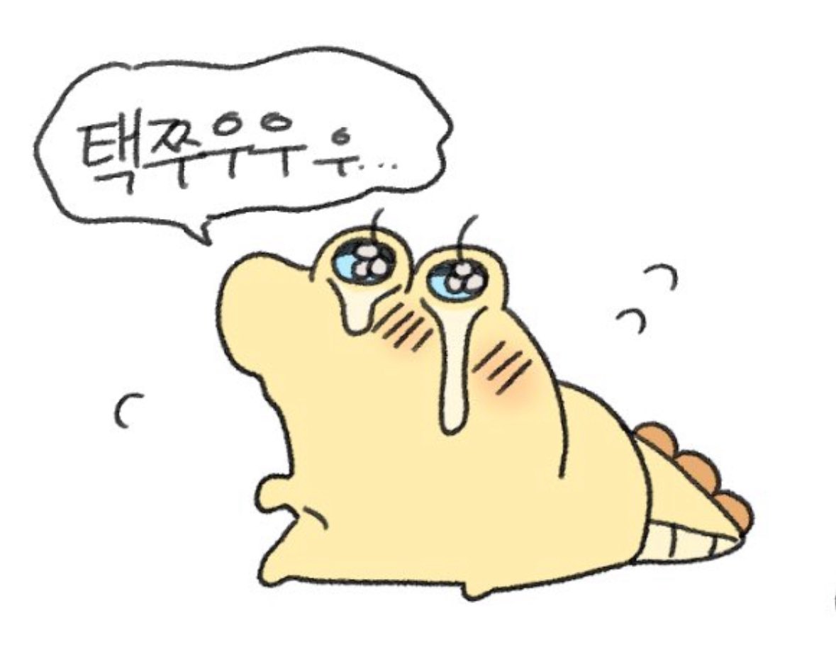 뚱참치 tweet media