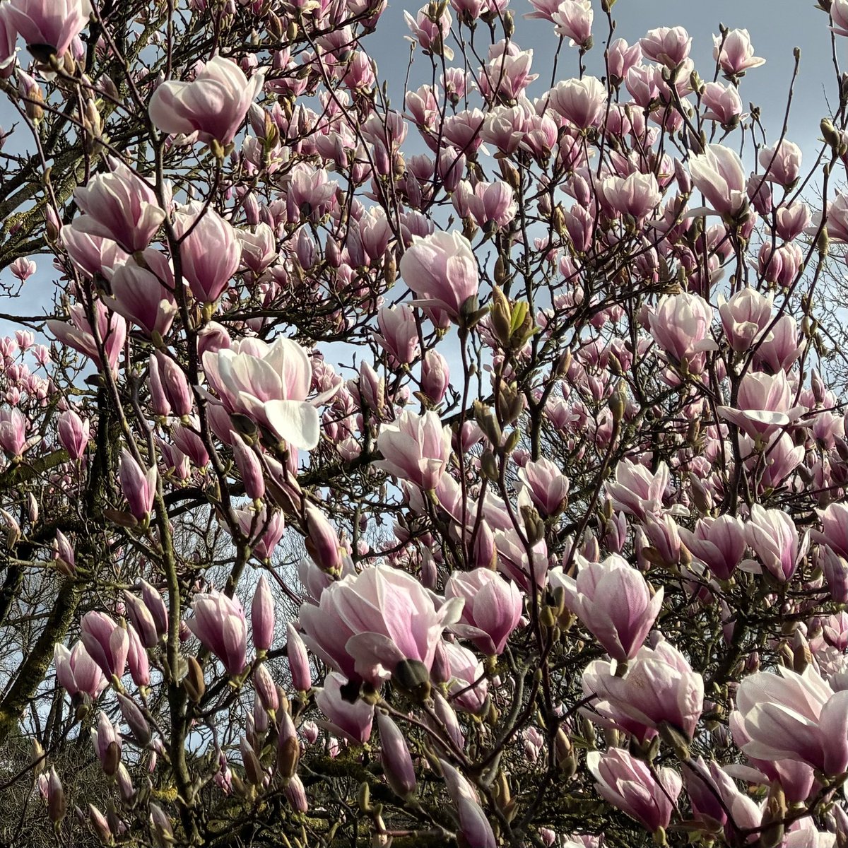 Ma®️ty tweet media