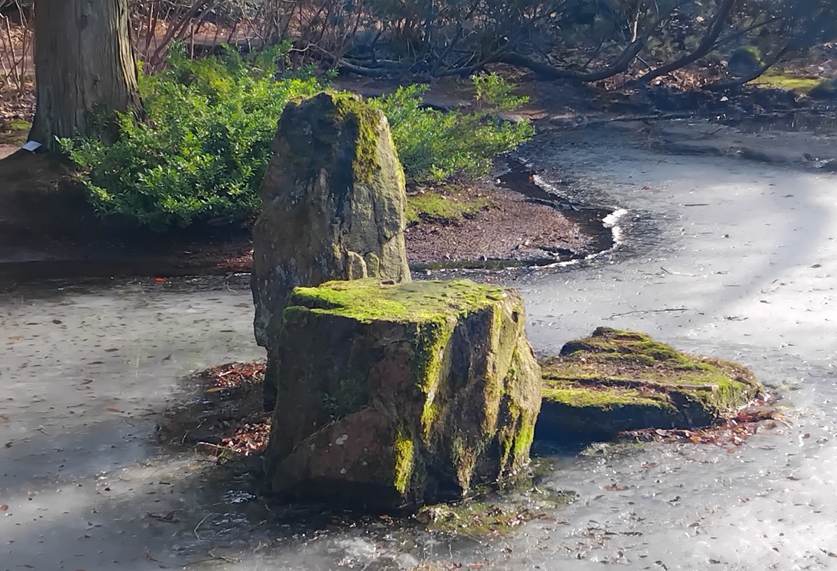 Torbjörn Andersson tweet media