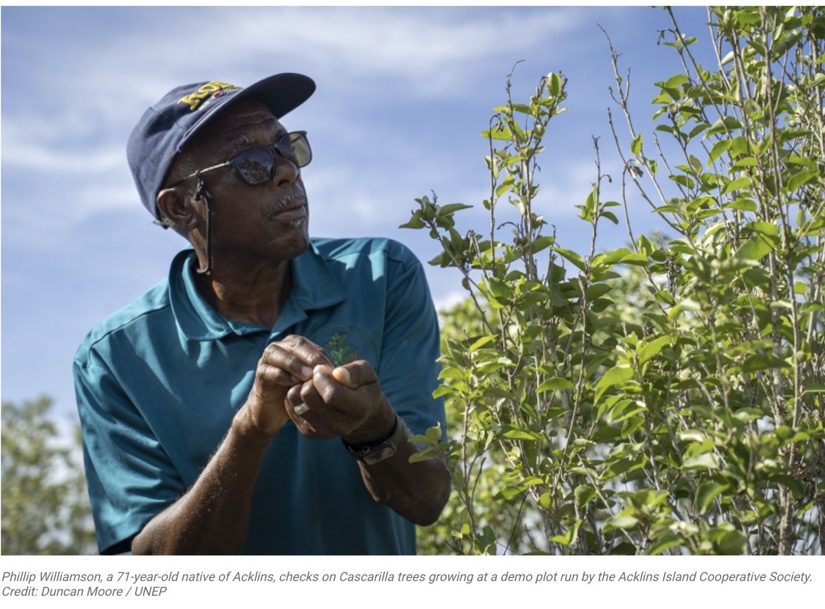 UN-OHRLLS tweet media